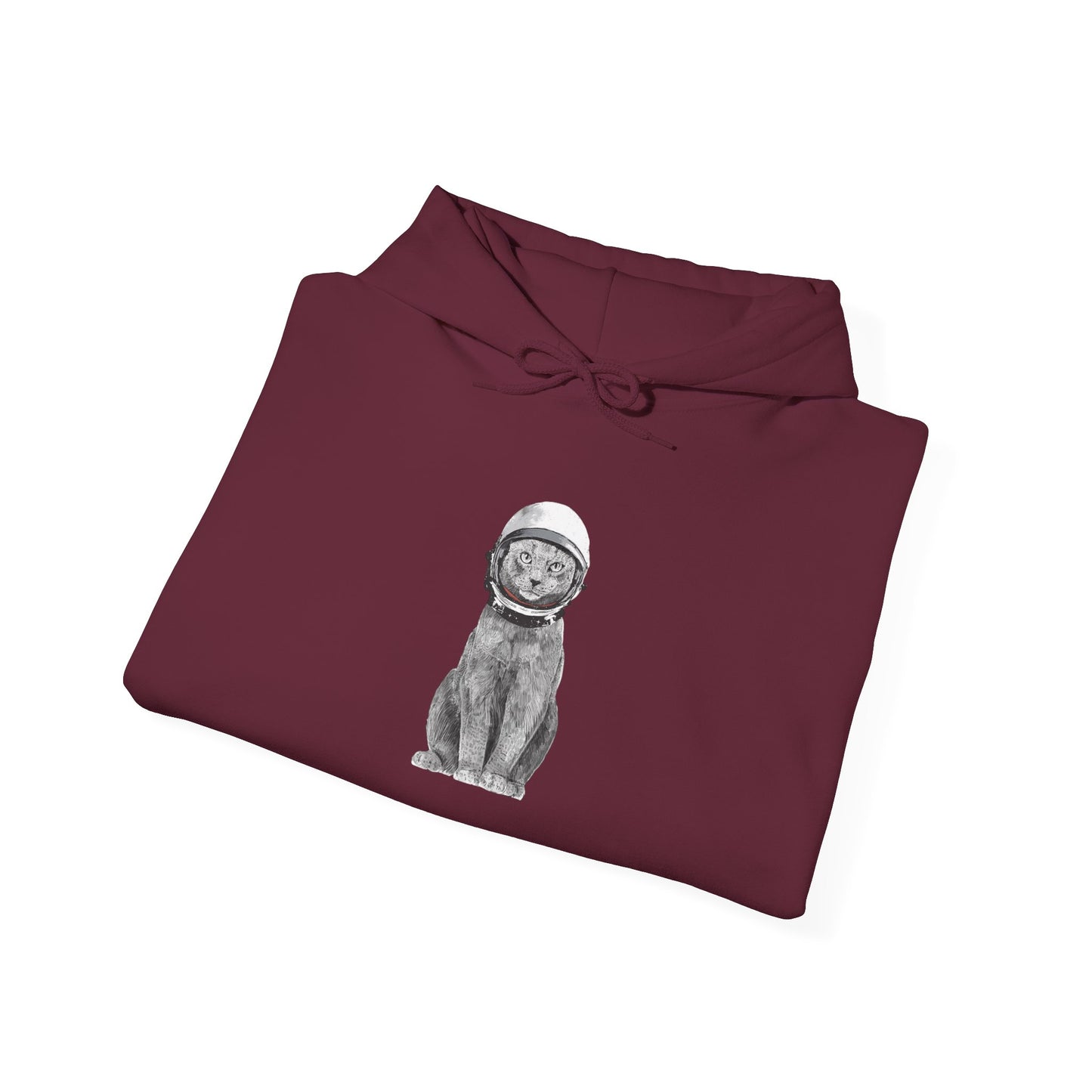Cat with a Helmet - Hoodie