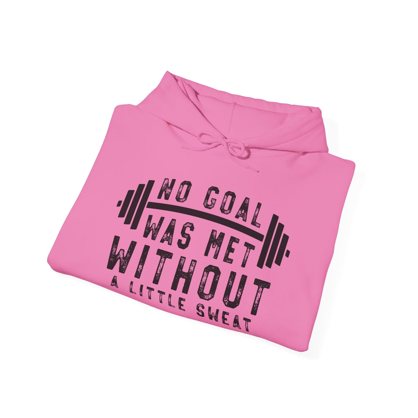 No Goal Was Met Without a Little - Hoodie