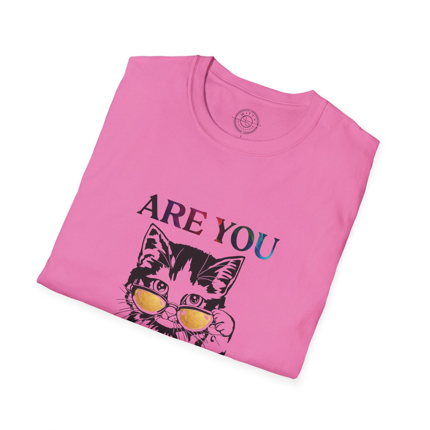 Are You Kitten Me? - T-Shirt