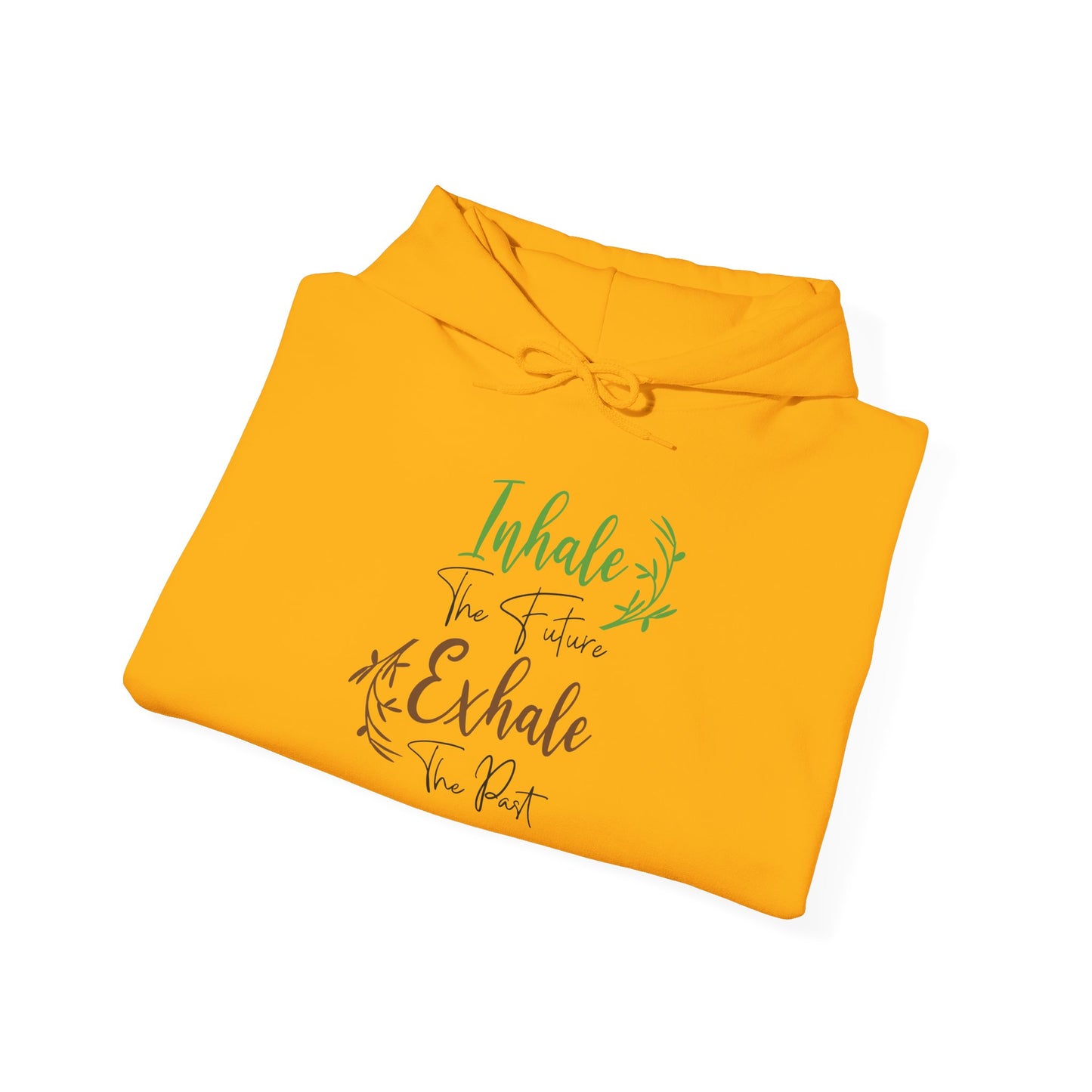 Inhale the Future Exhale the Past - Hoodie