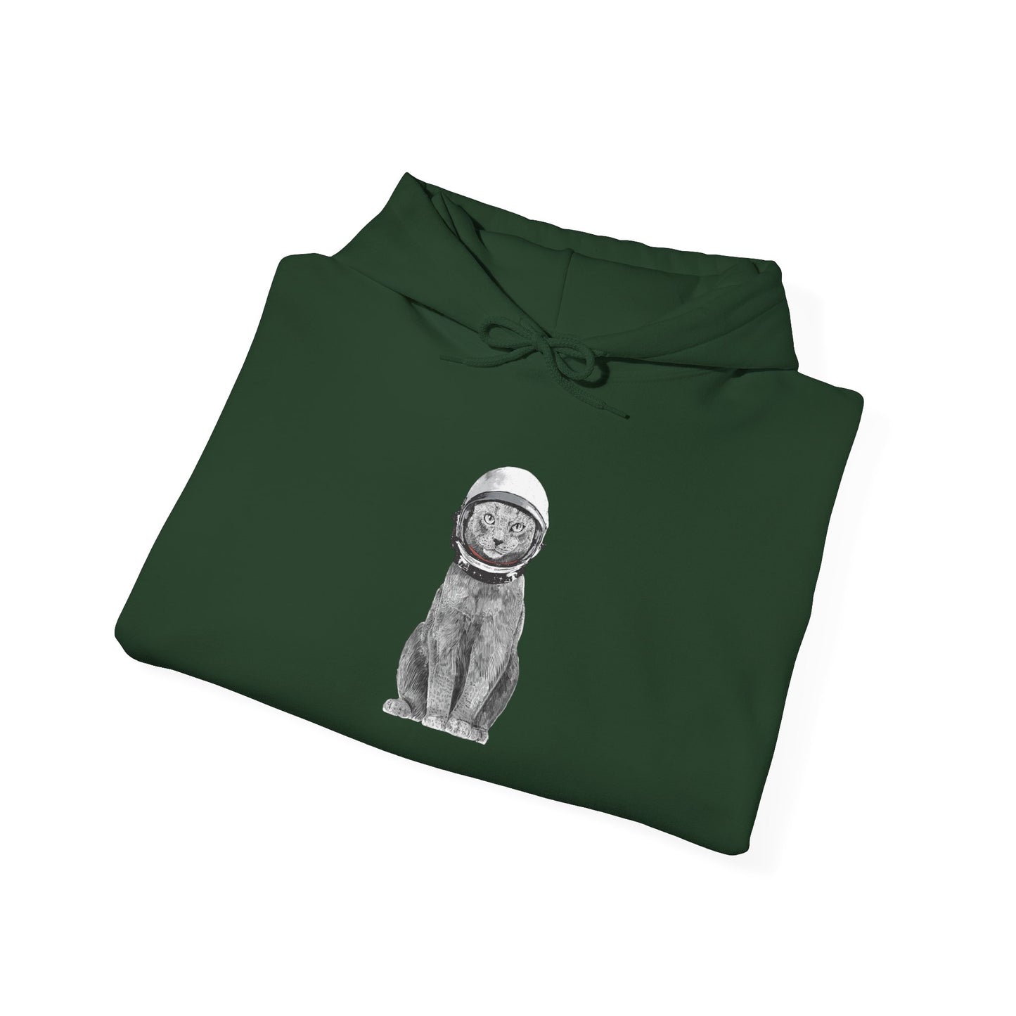 Cat with a Helmet - Hoodie