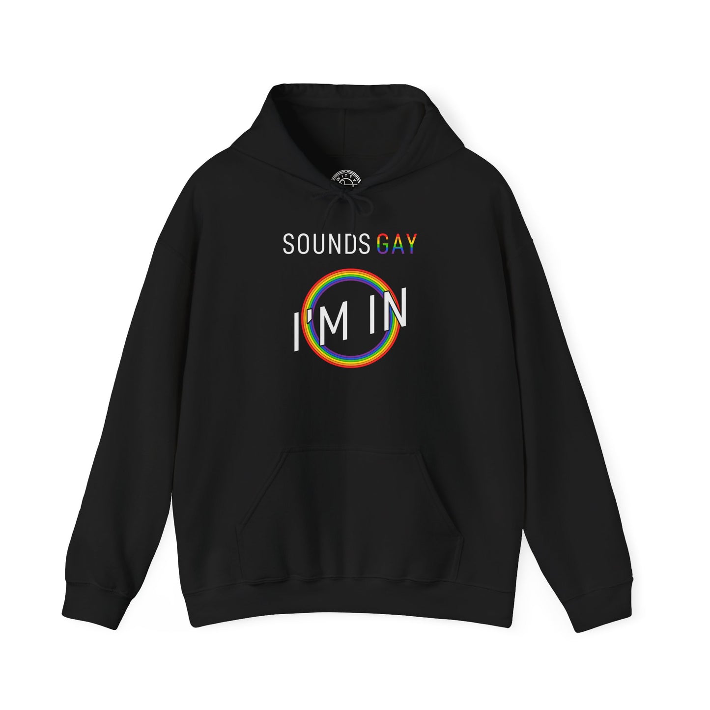 Sounds GAY I'm In - Hoodie