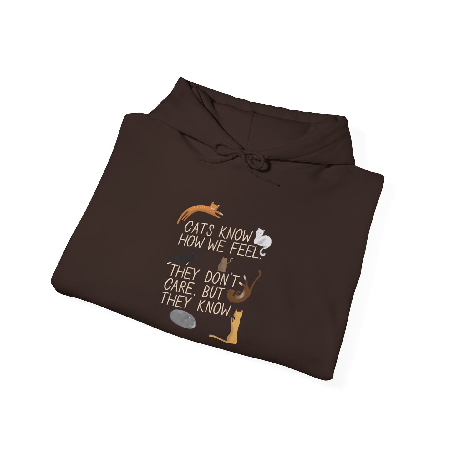 Cats Know How We Feel - Hoodie