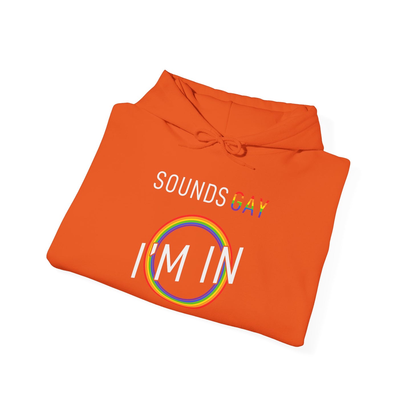 Sounds GAY I'm In - Hoodie