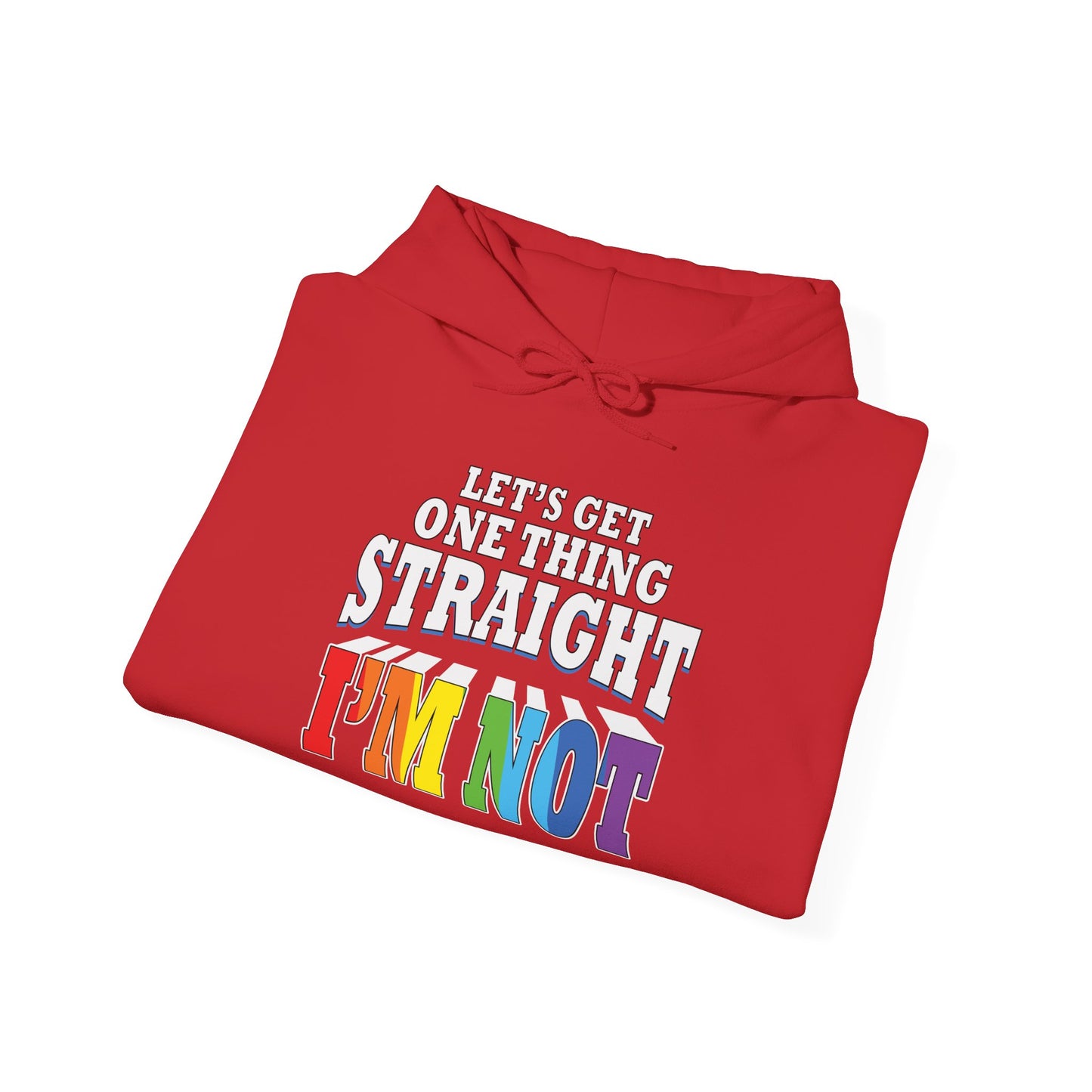 I'm NOT STRAIGHT - Hoodie