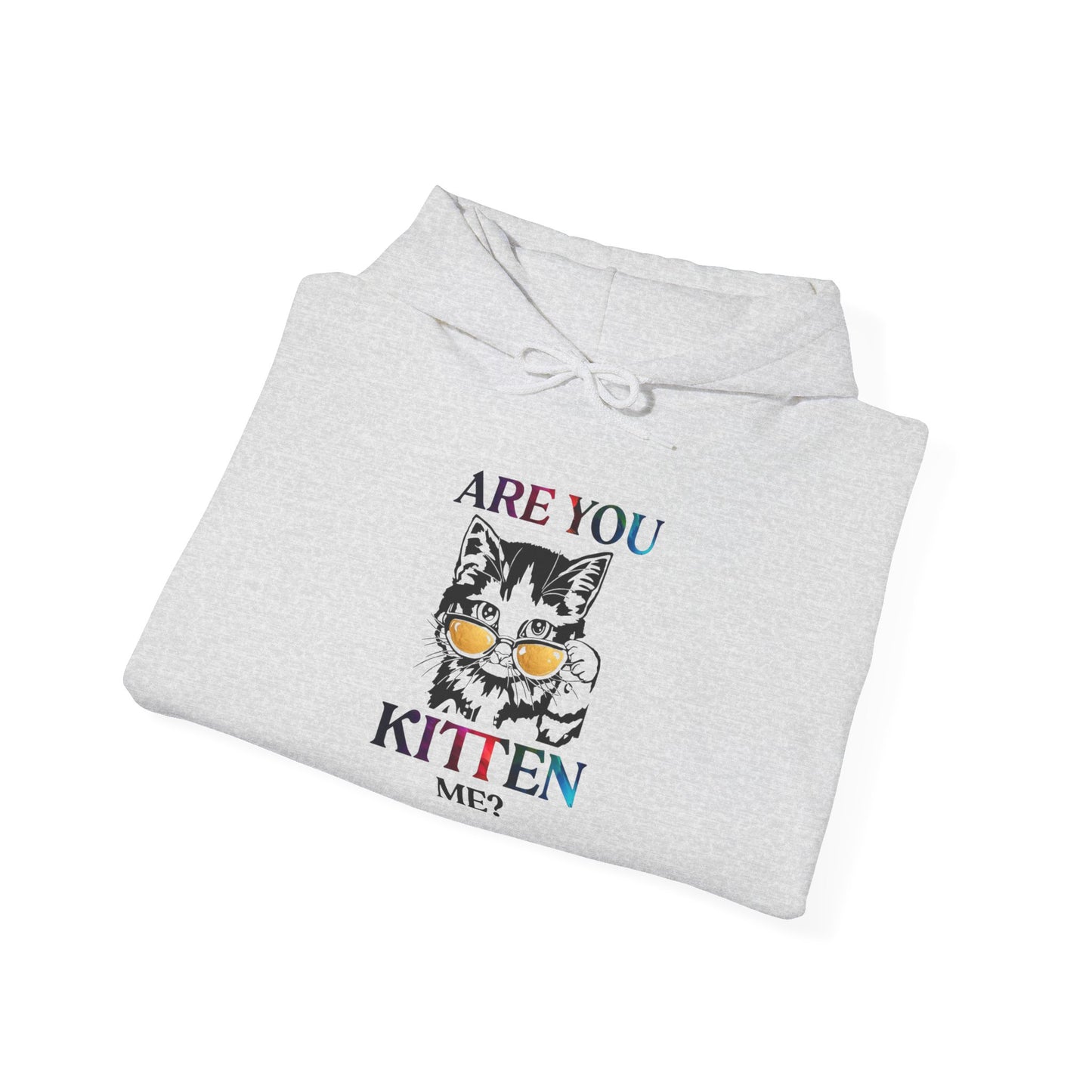 Are You Kitten Me? - Hoodie