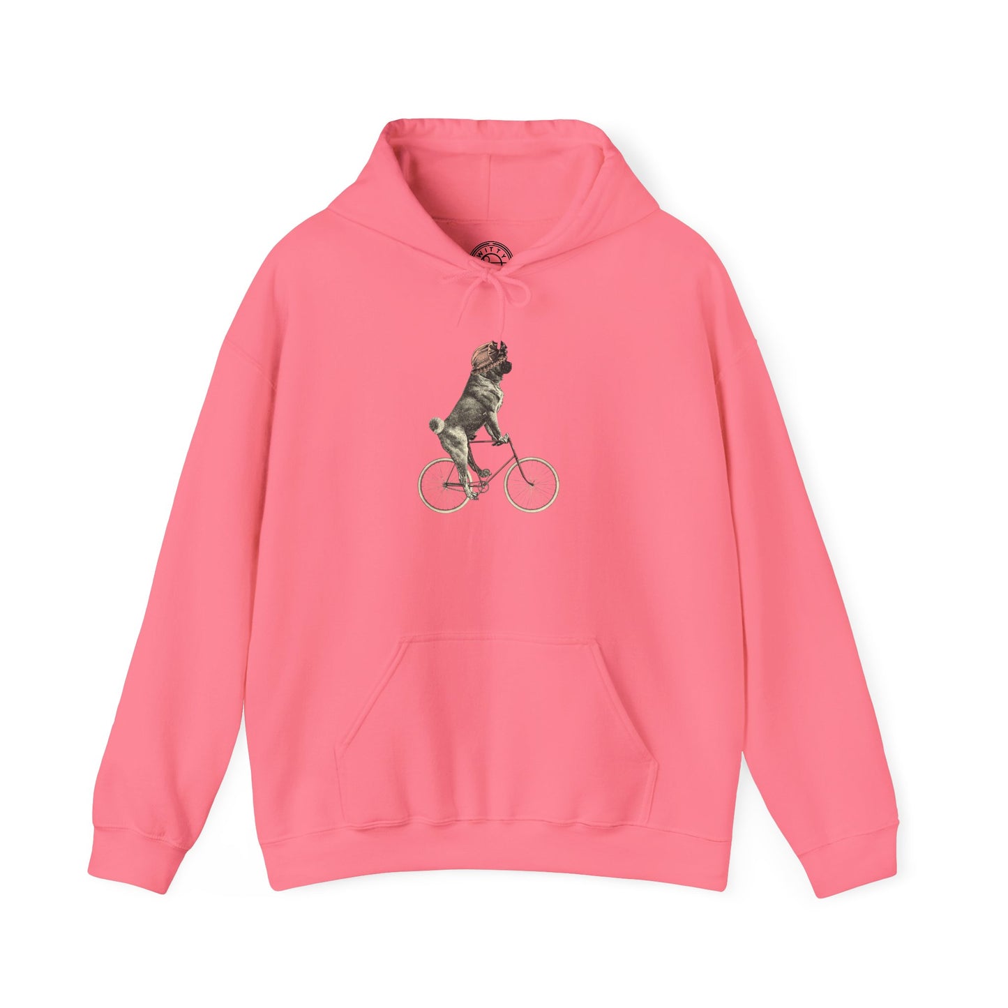 Dog on a Bicycle - Hoodie