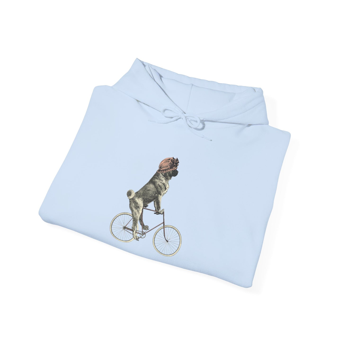 Dog on a Bicycle - Hoodie