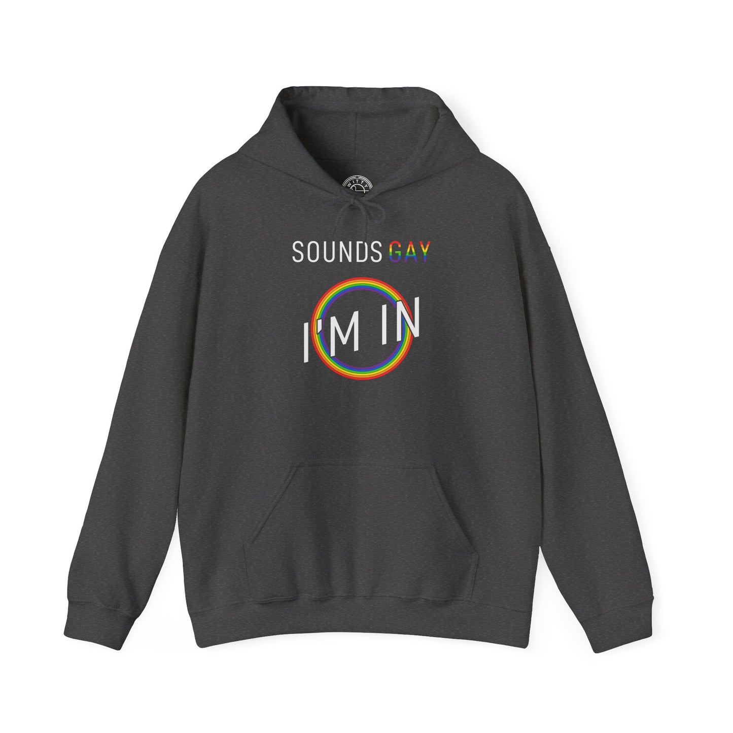 Sounds GAY I'm In - Hoodie