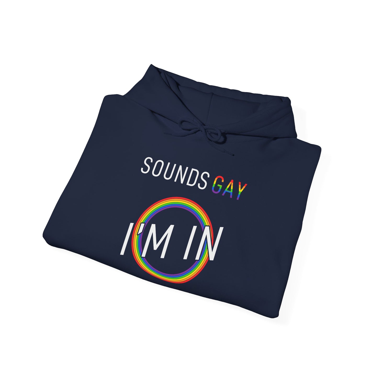 Sounds GAY I'm In - Hoodie