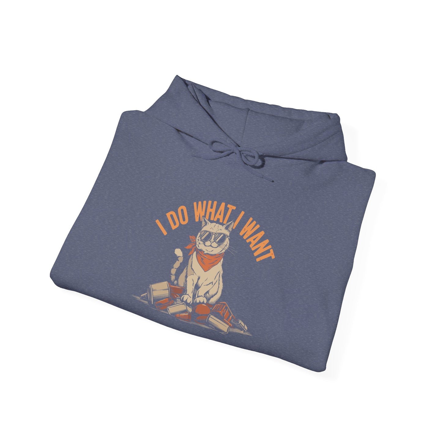 I Do What I Want - Hoodie