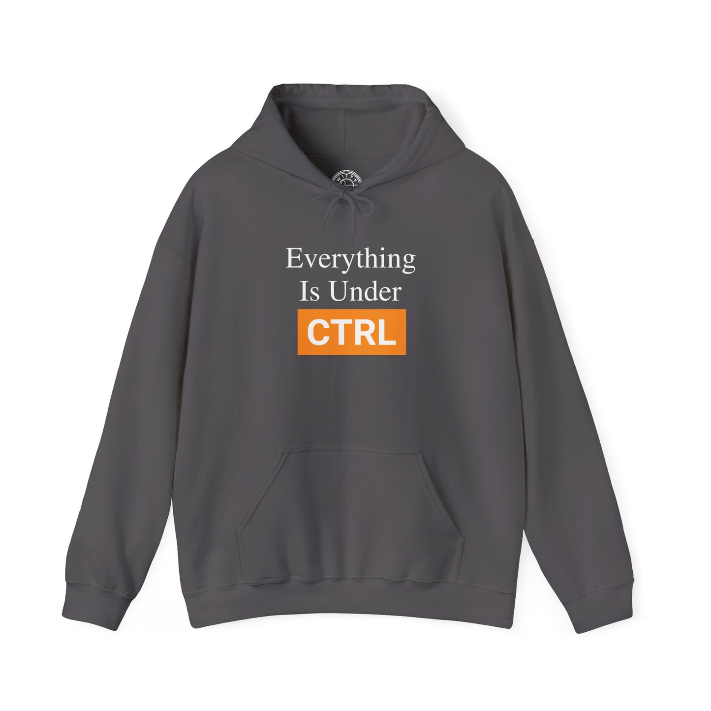 Everything is under CTRL - Hoodie