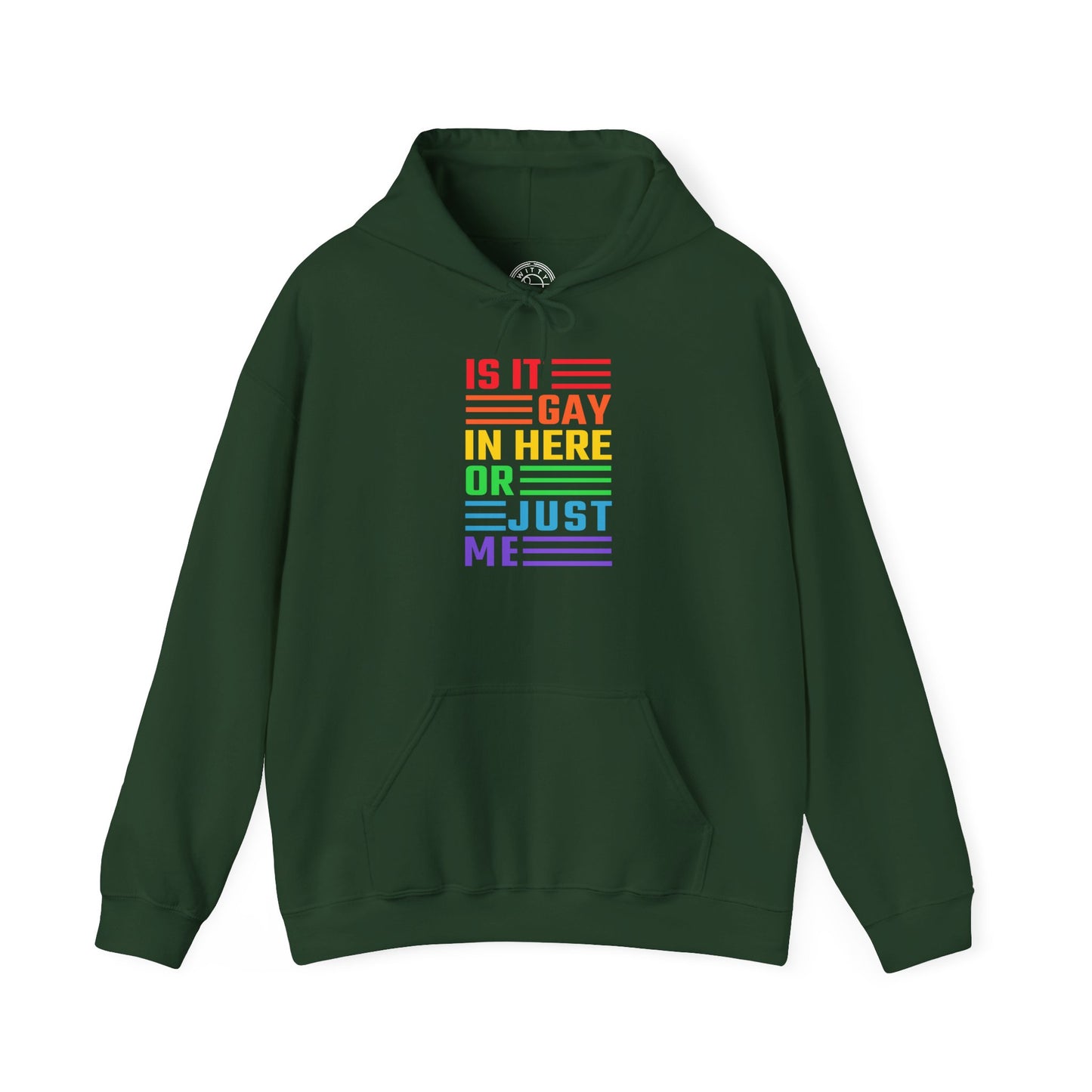 Is It Gay In Here Or Just Me - Hoodie