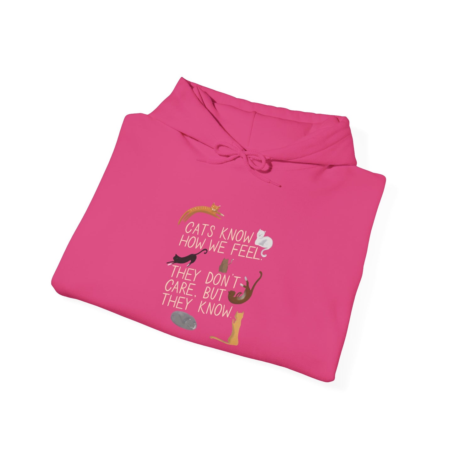 Cats Know How We Feel - Hoodie