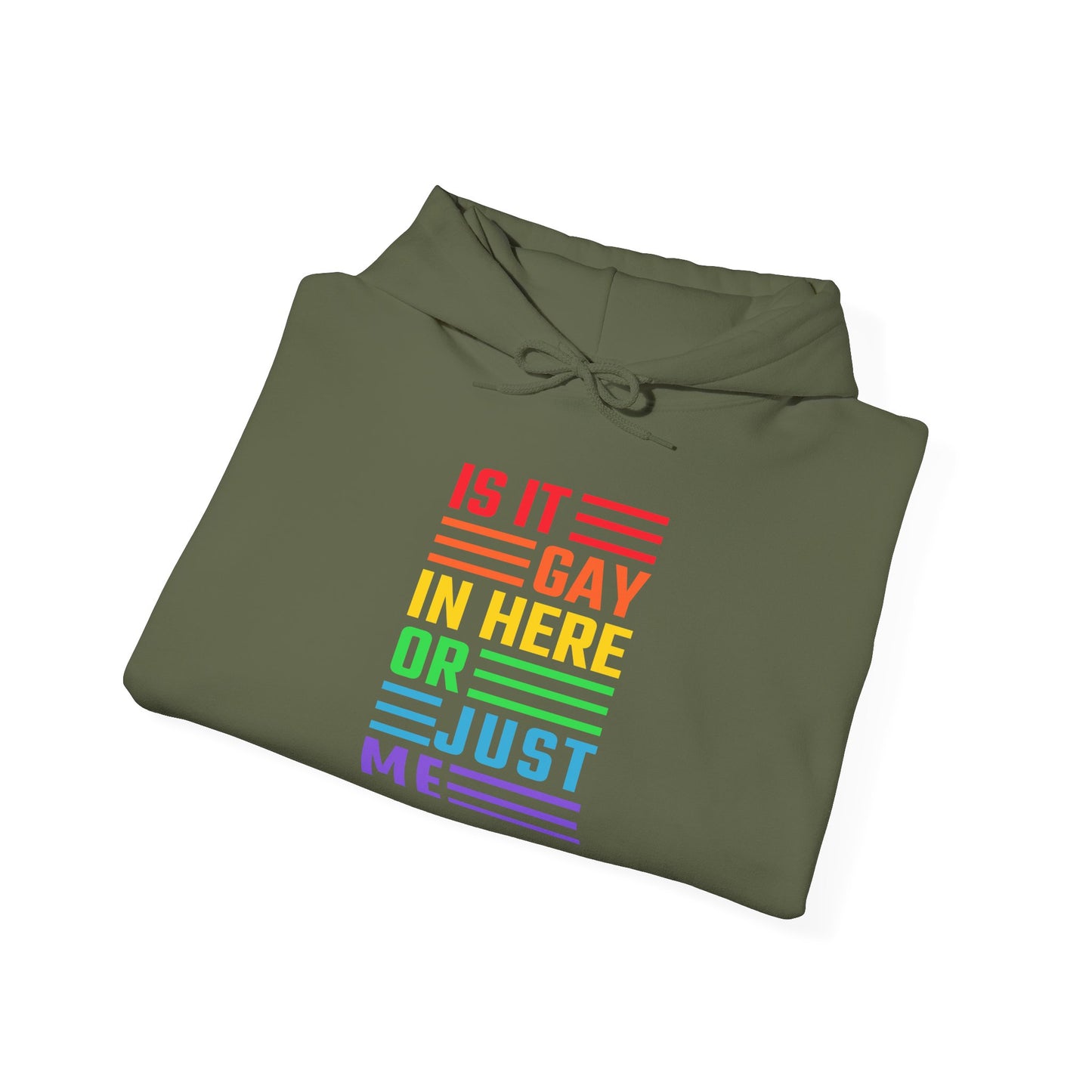 Is It Gay In Here Or Just Me - Hoodie