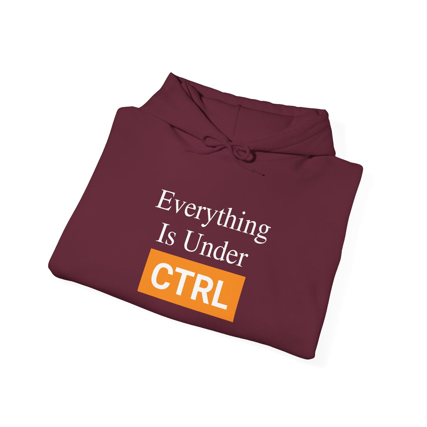 Everything is under CTRL - Hoodie