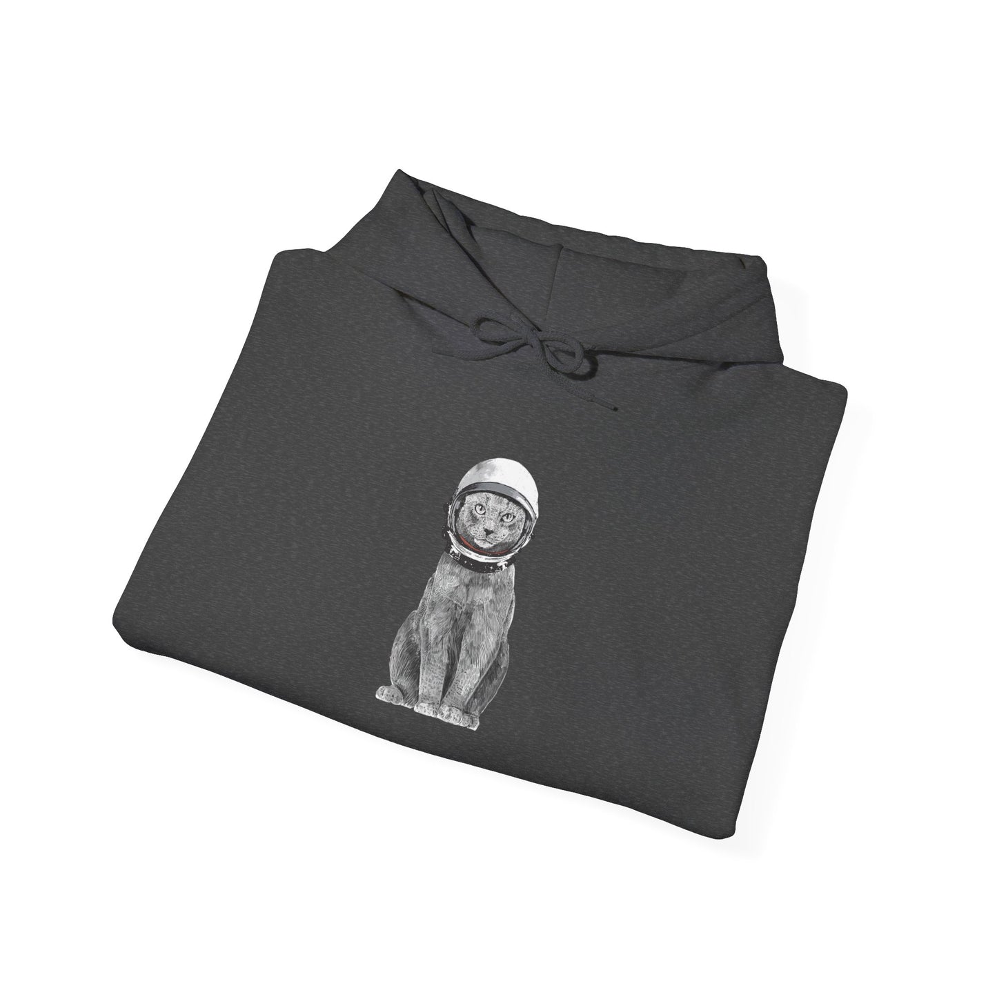 Cat with a Helmet - Hoodie