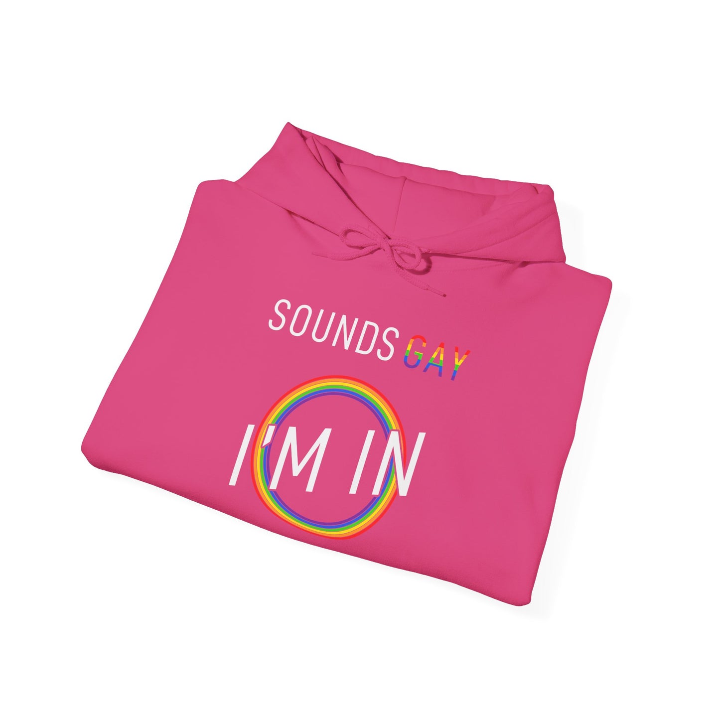 Sounds GAY I'm In - Hoodie