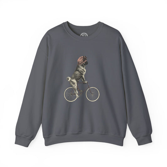 Dog on a Bicycle - Sweatshirt