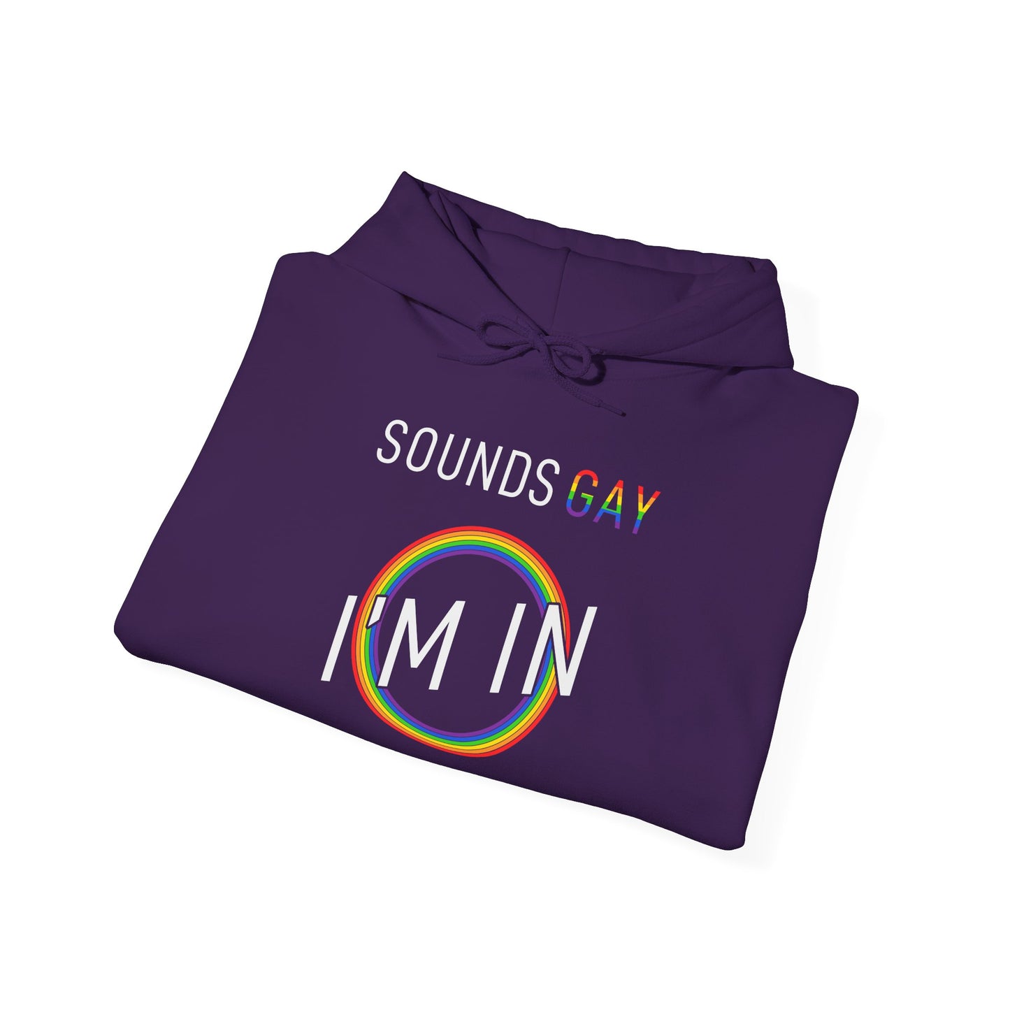 Sounds GAY I'm In - Hoodie