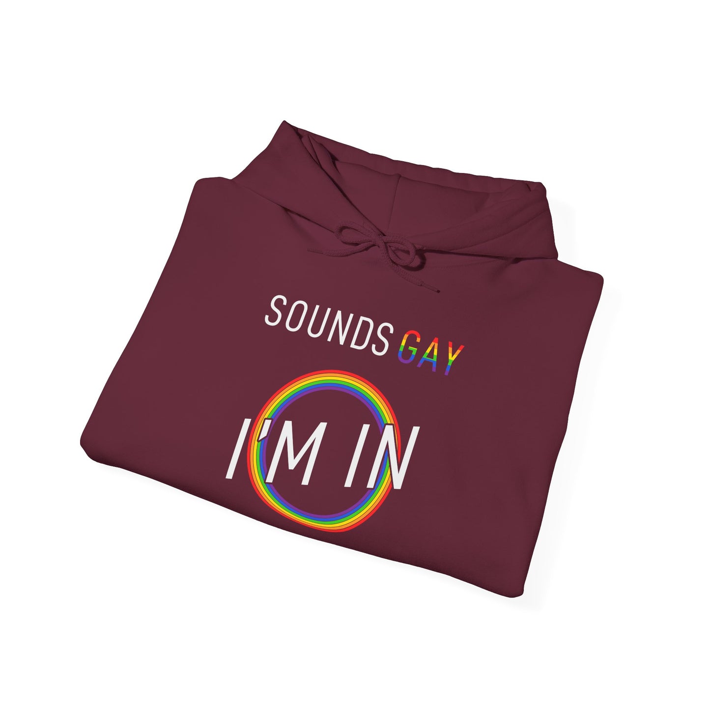 Sounds GAY I'm In - Hoodie