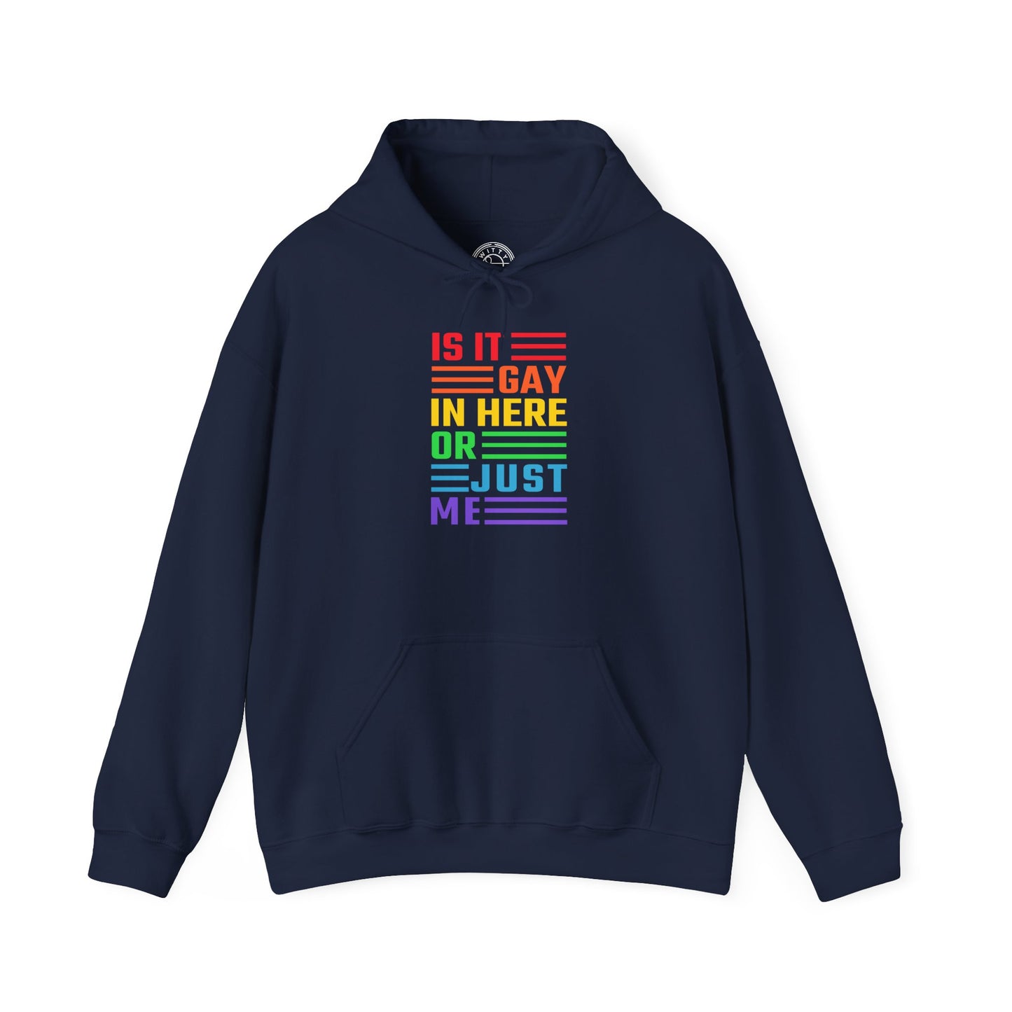 Is It Gay In Here Or Just Me - Hoodie