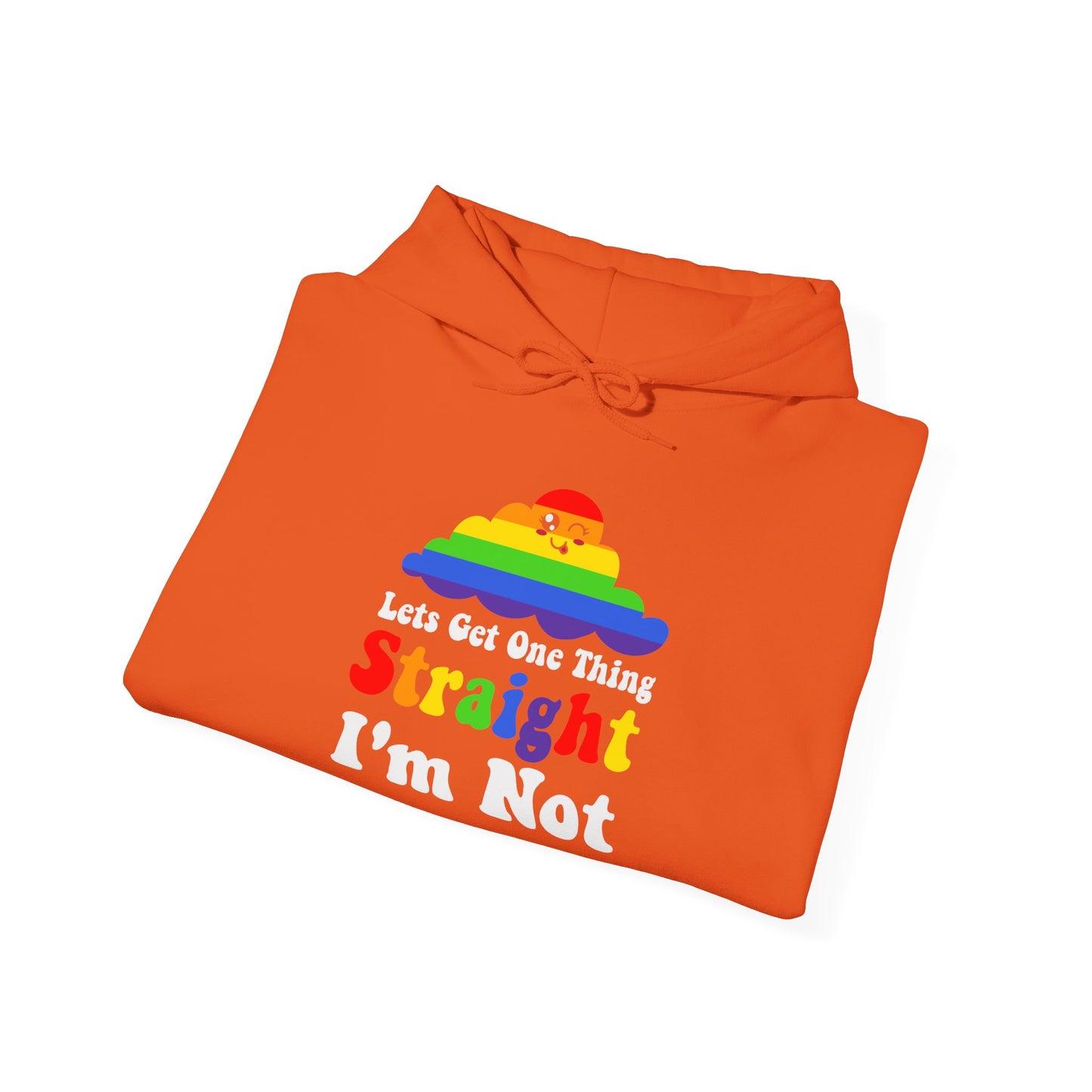 I'm NOT STRAIGHT - Hoodie