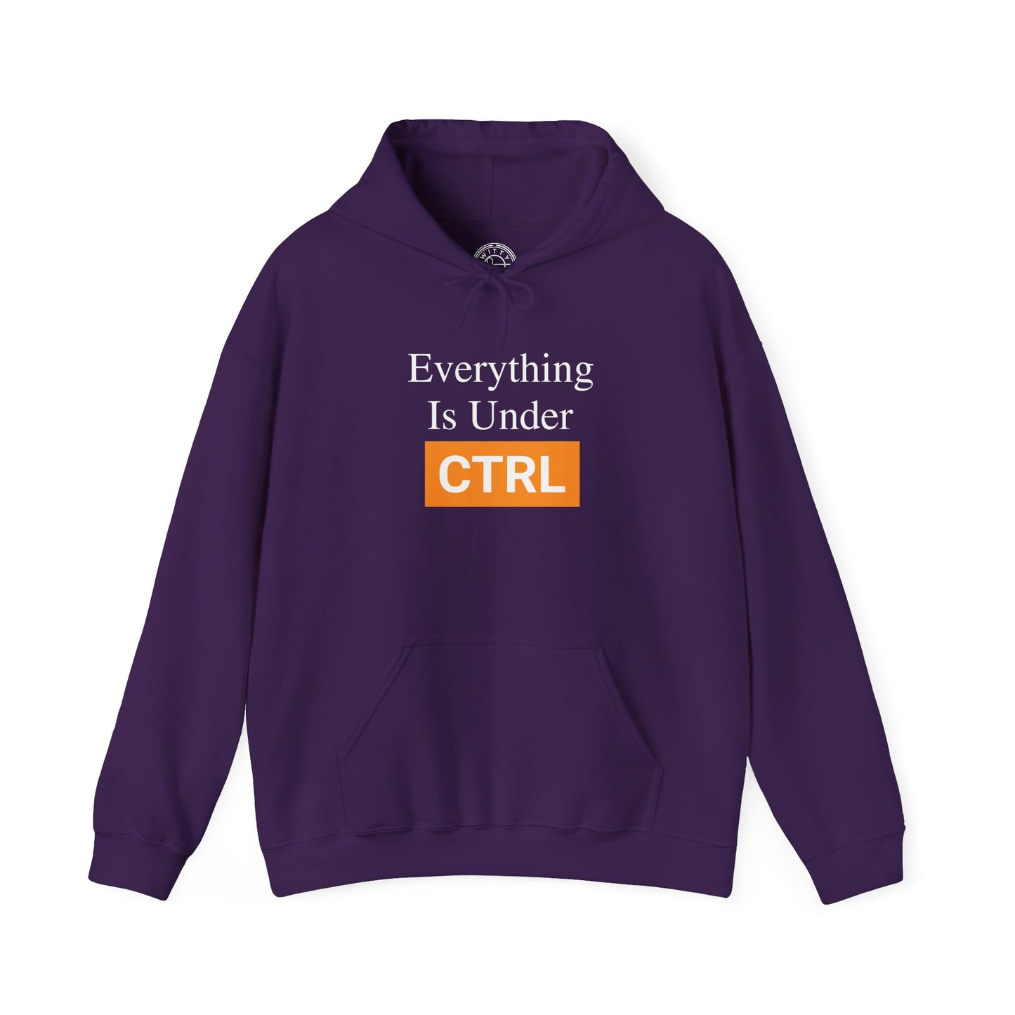 Everything is under CTRL - Hoodie
