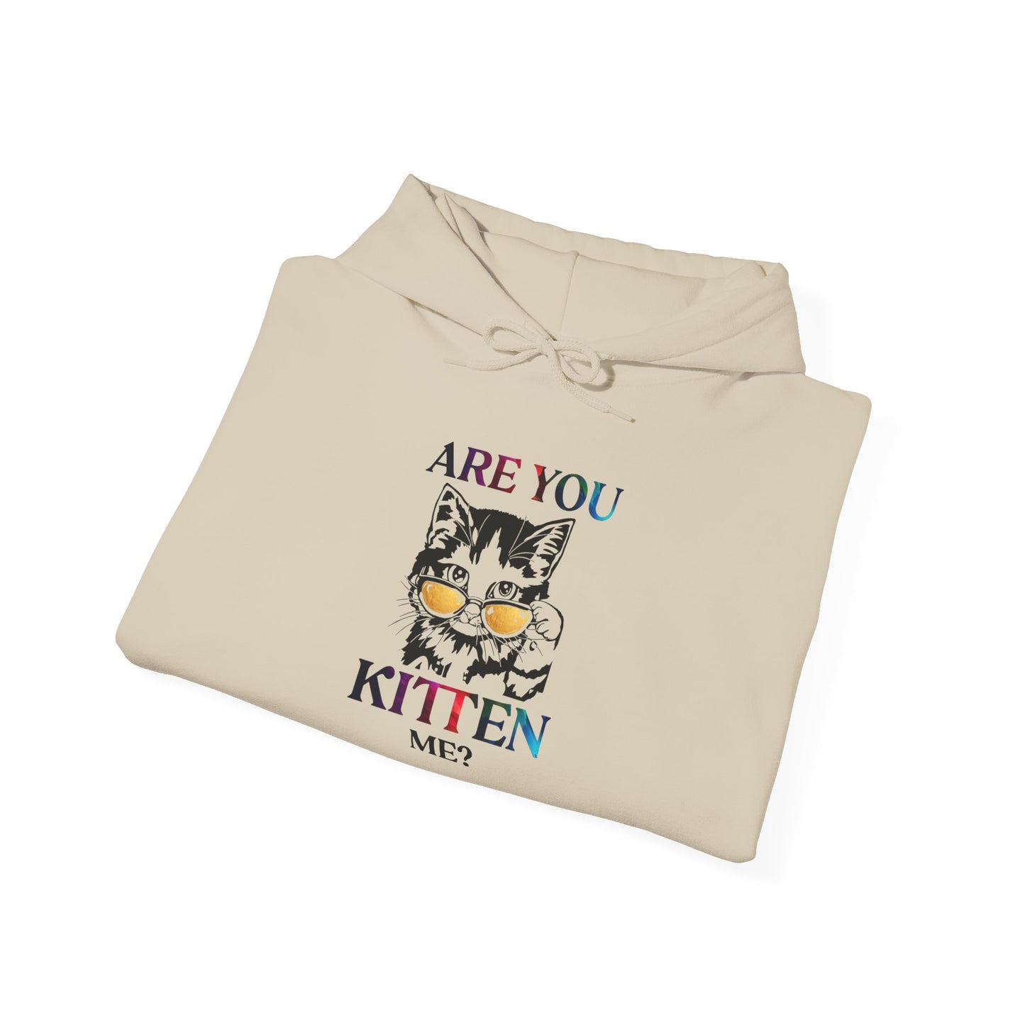 Are You Kitten Me? - Hoodie