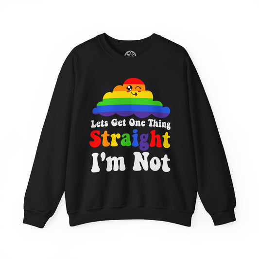 I'm NOT Straight - Sweatshirt