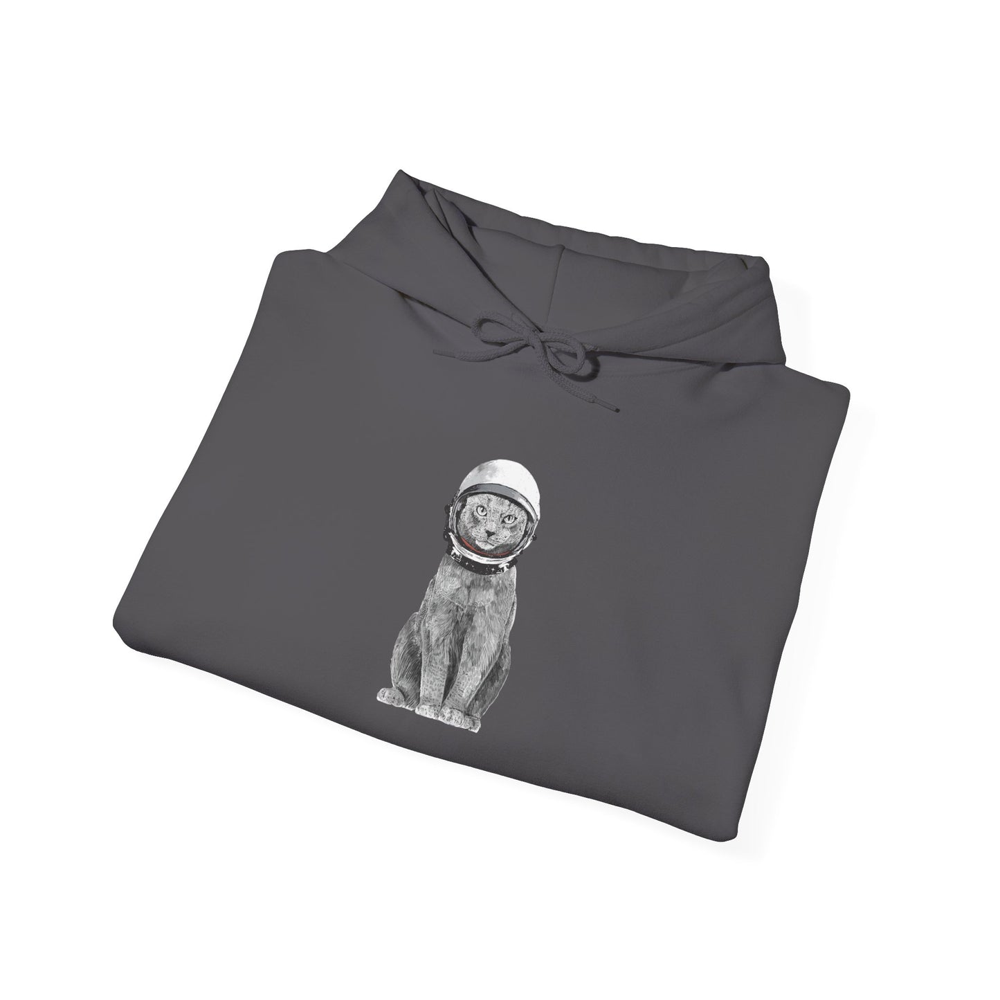 Cat with a Helmet - Hoodie