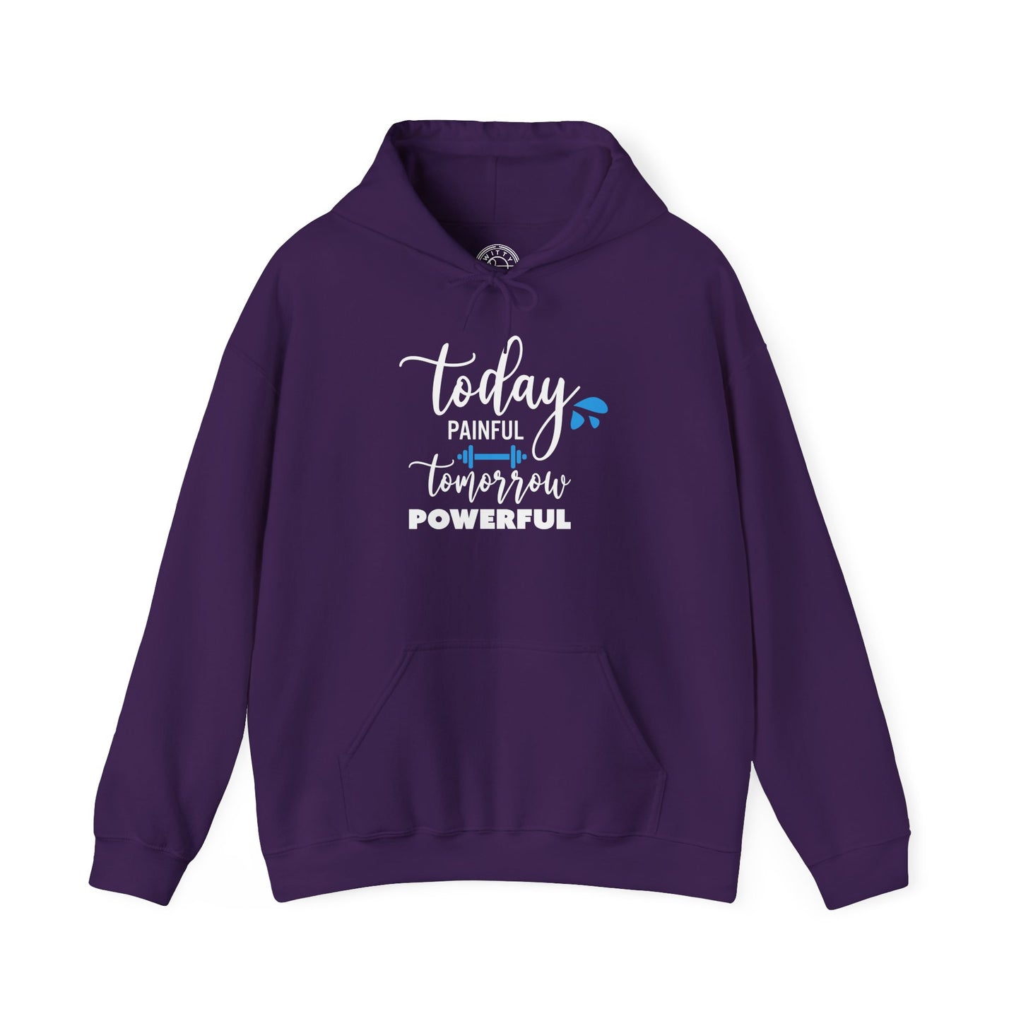 Painful Today Powerful Tomorrow - Hoodie