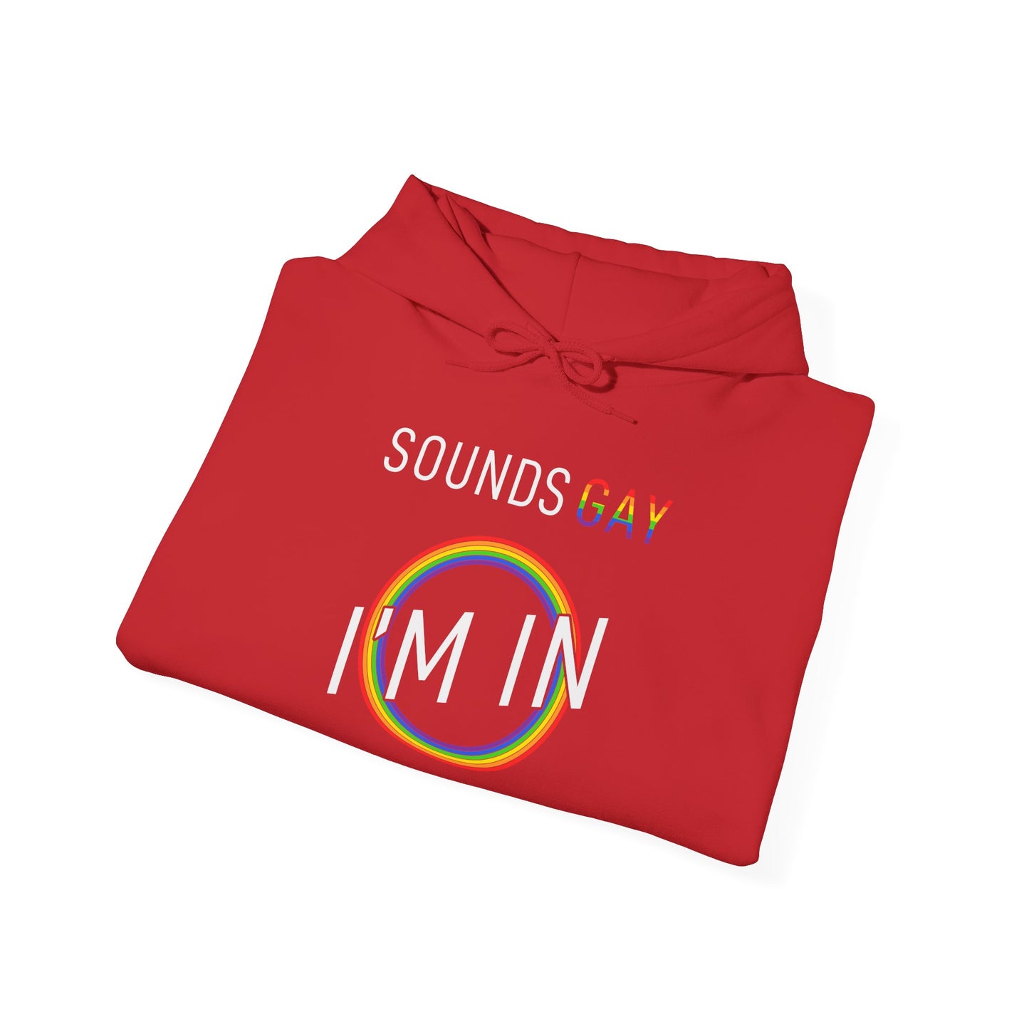 Sounds GAY I'm In - Hoodie