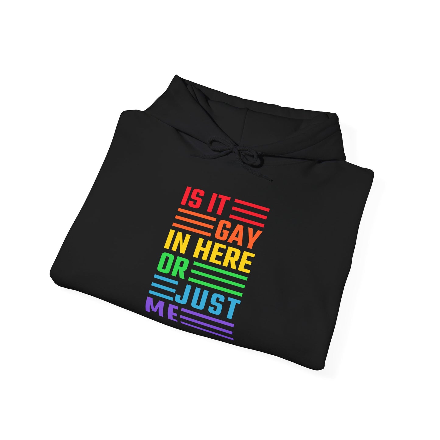 Is It Gay In Here Or Just Me - Hoodie