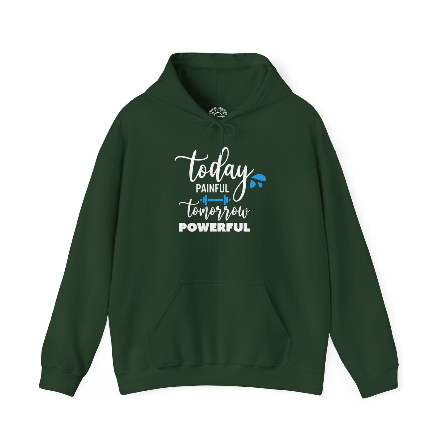 Painful Today Powerful Tomorrow - Hoodie