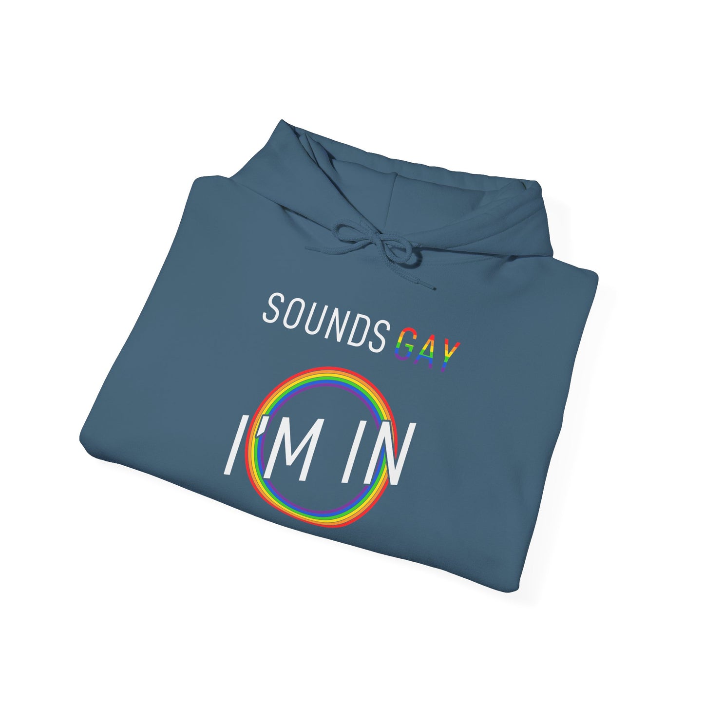 Sounds GAY I'm In - Hoodie