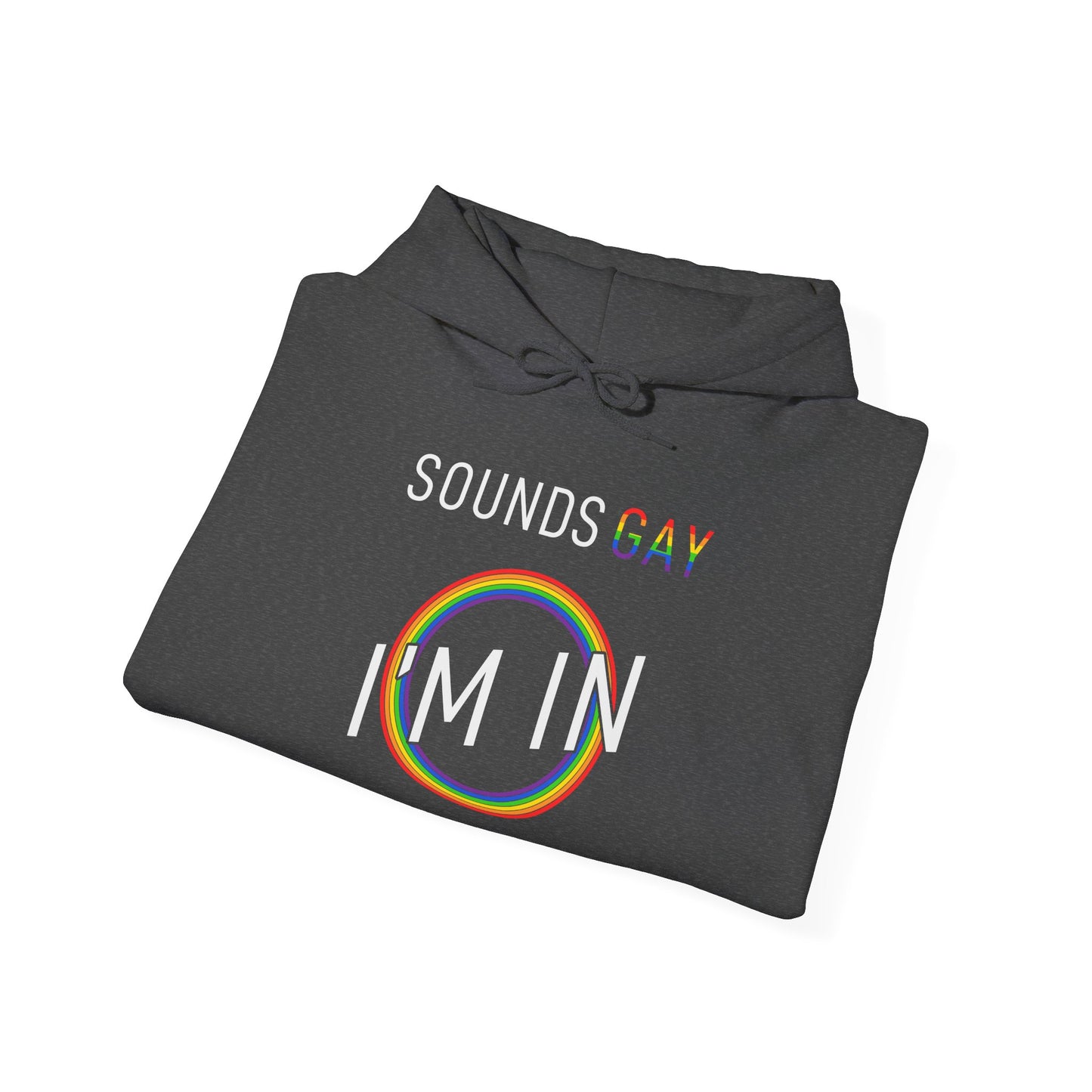 Sounds GAY I'm In - Hoodie