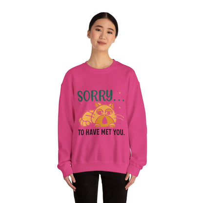 Sorry to have met you - Sweatshirt