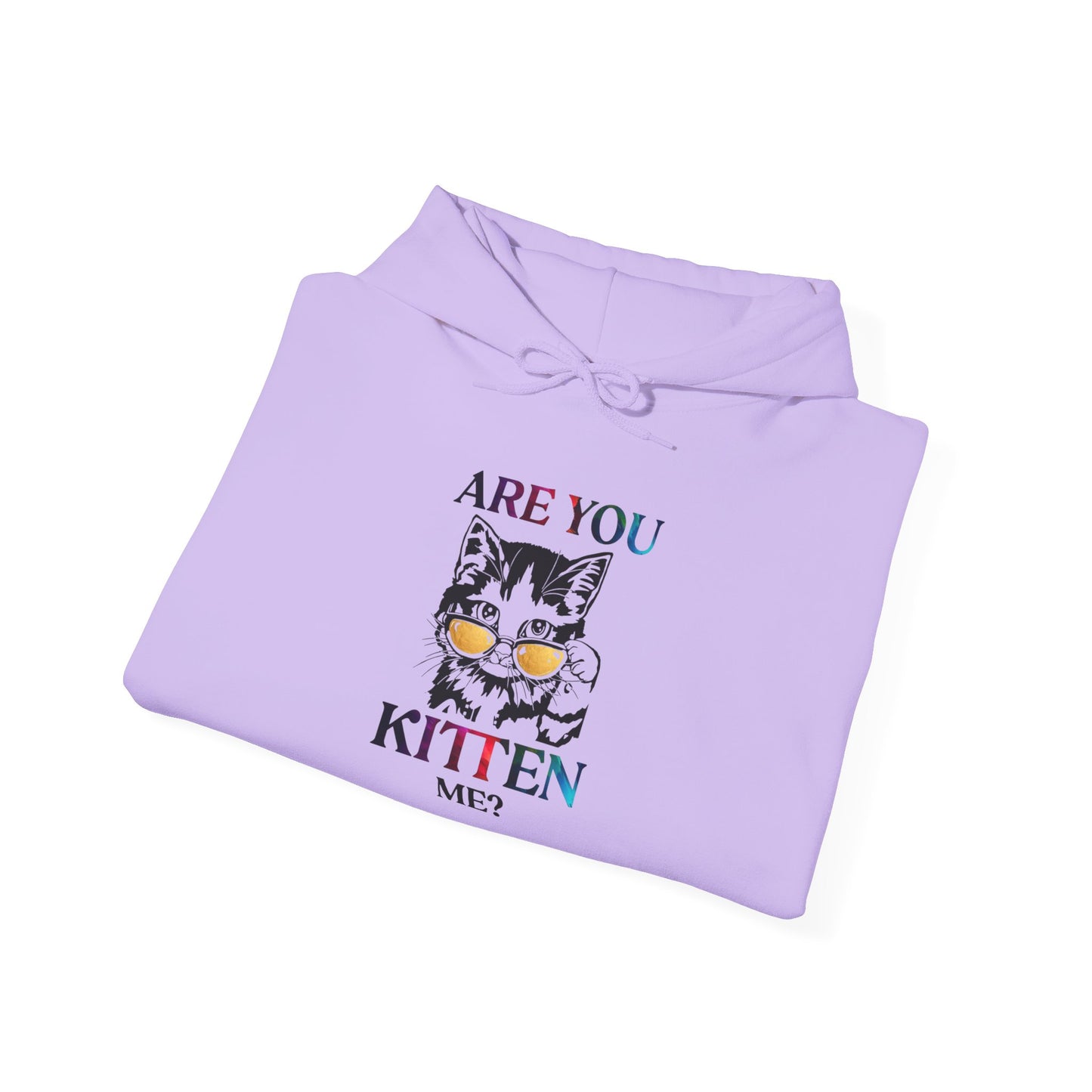 Are You Kitten Me? - Hoodie