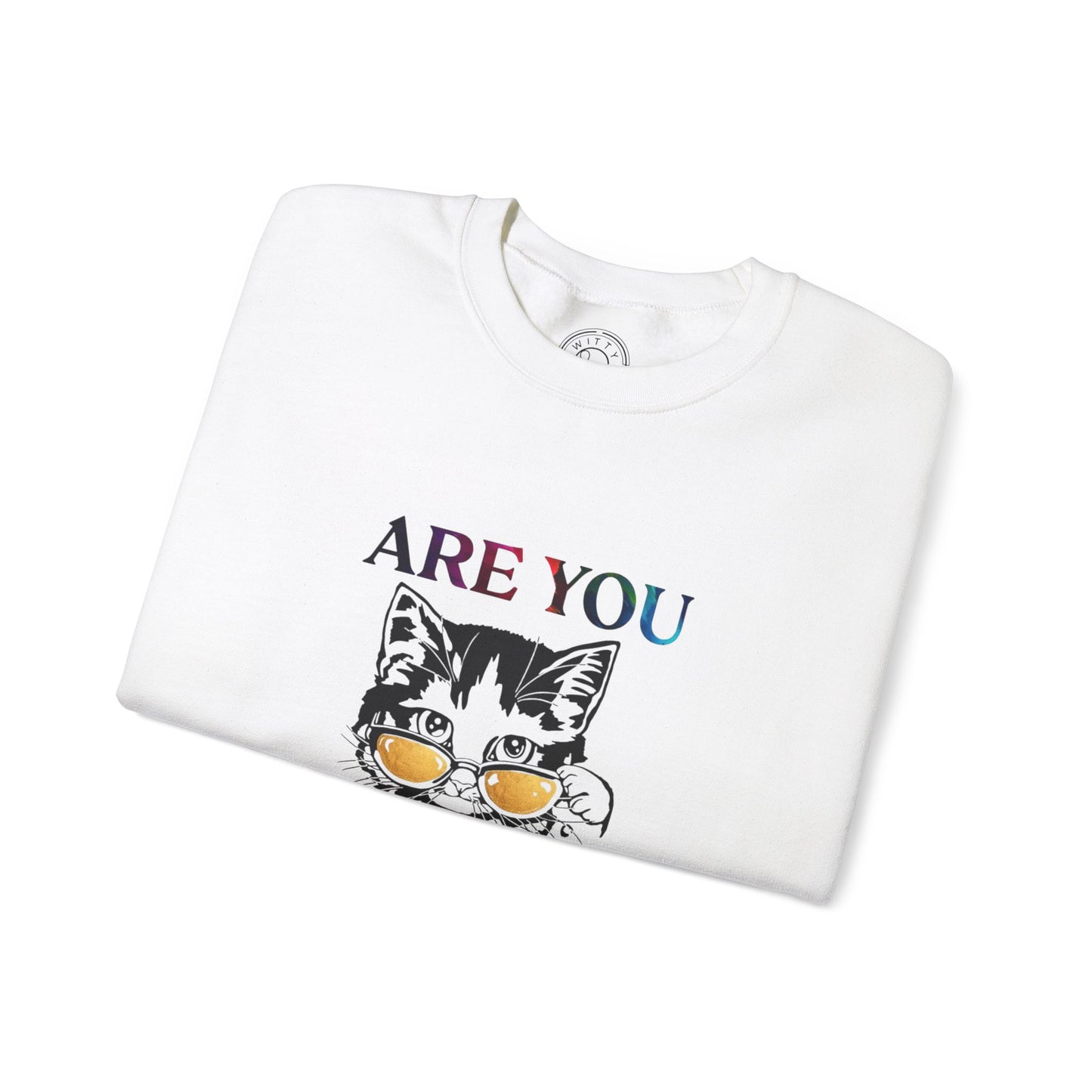 Are You Kitten Me? - Sweatshirt