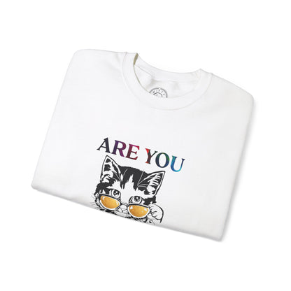 Are You Kitten Me? - Sweatshirt
