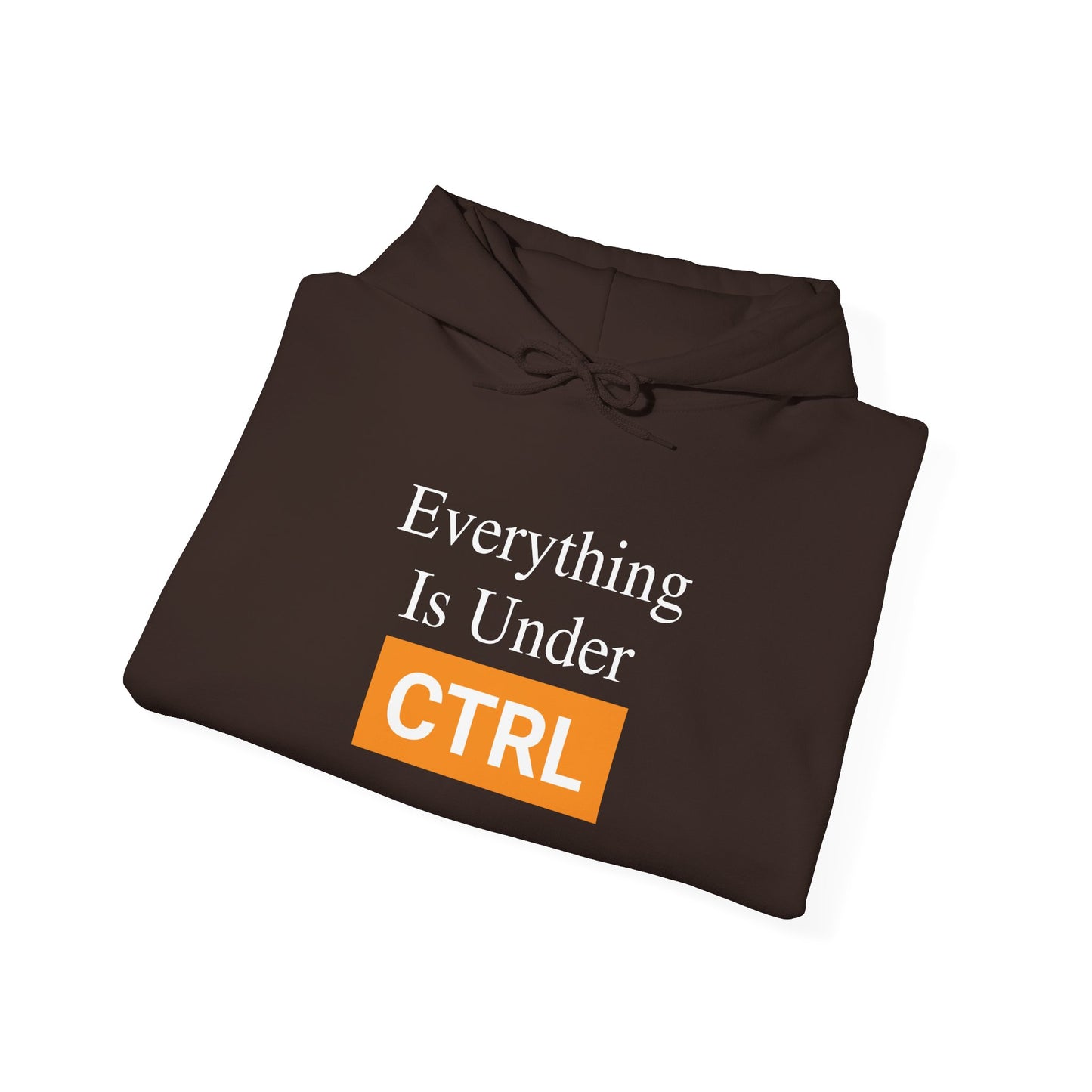 Everything is under CTRL -  Hoodie