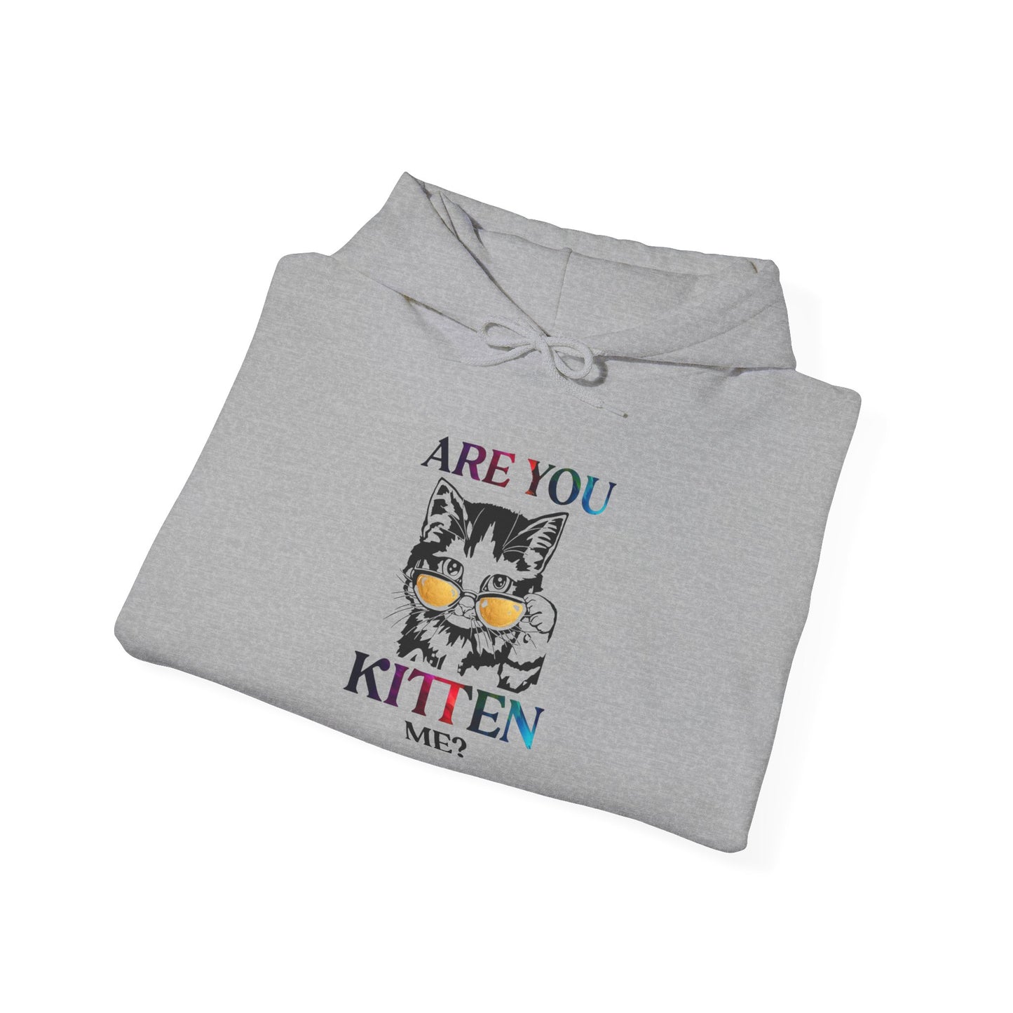 Are You Kitten Me? - Hoodie