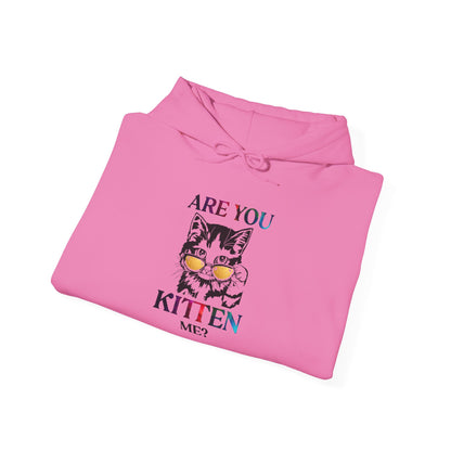 Are You Kitten Me? - Hoodie