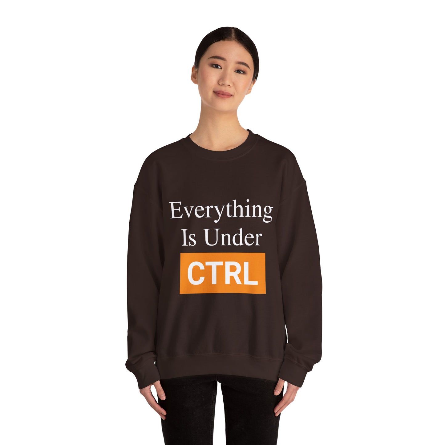 Everything is under CTRL - Sweatshirt
