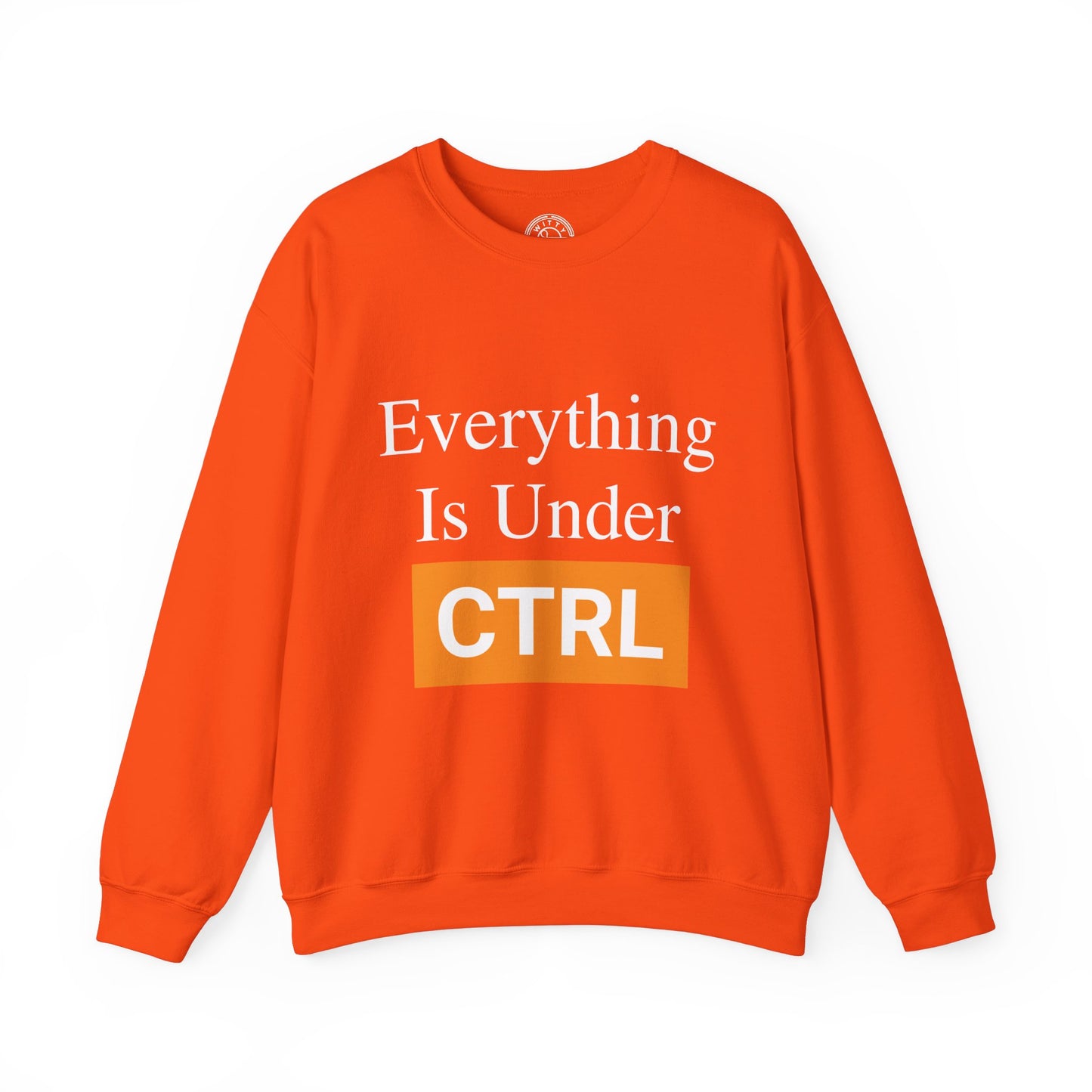 Everything is under CTRL - Sweatshirt