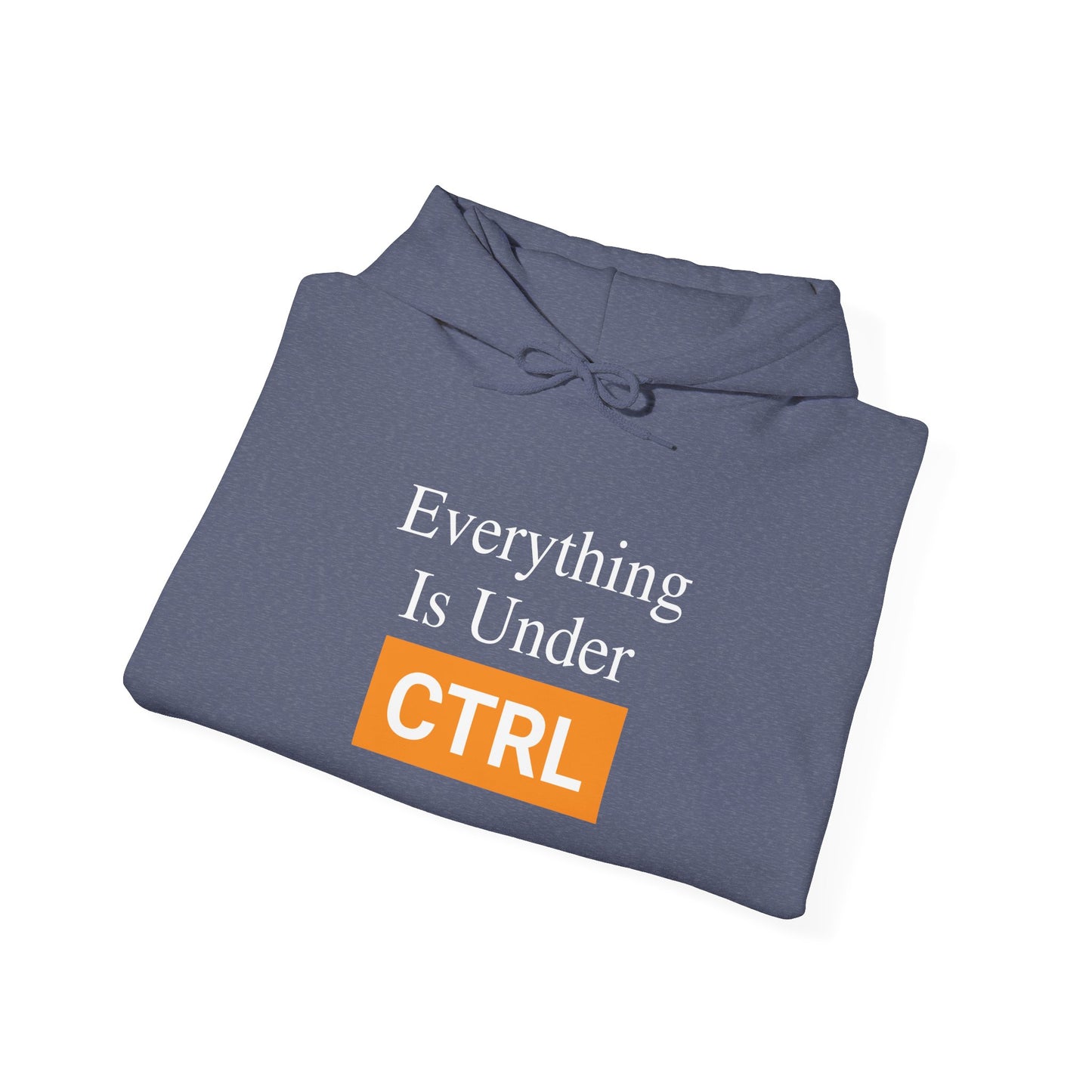 Everything is under CTRL -  Hoodie