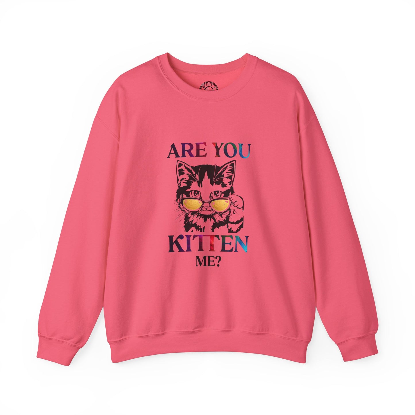 Are You Kitten Me? - Sweatshirt