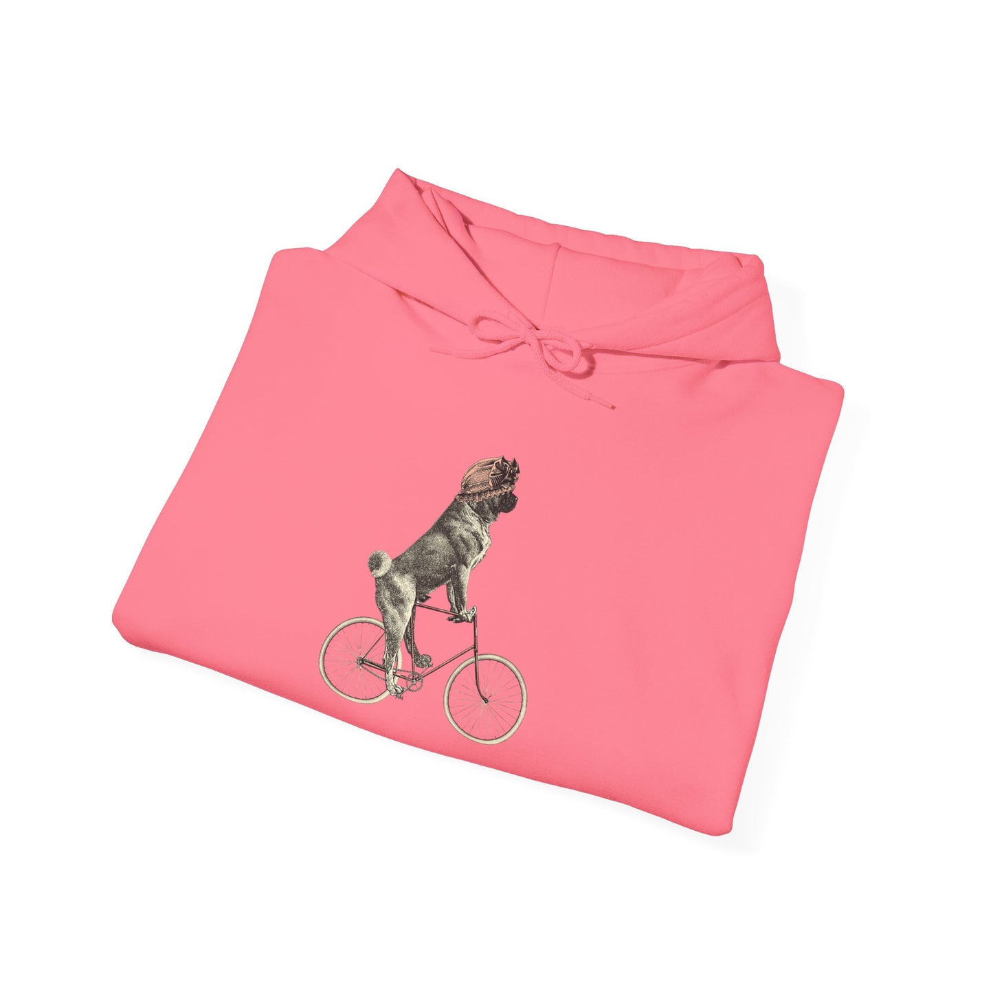 Dog on a Bicycle - Hoodie