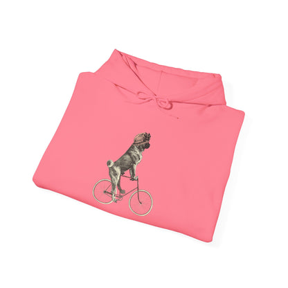 Dog on a Bicycle - Hoodie